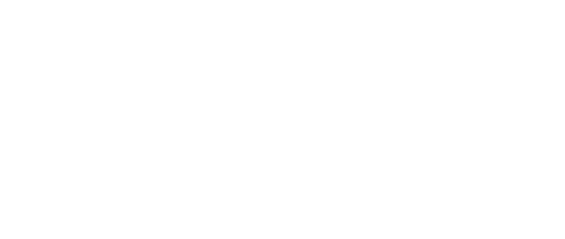 Stripe Logo